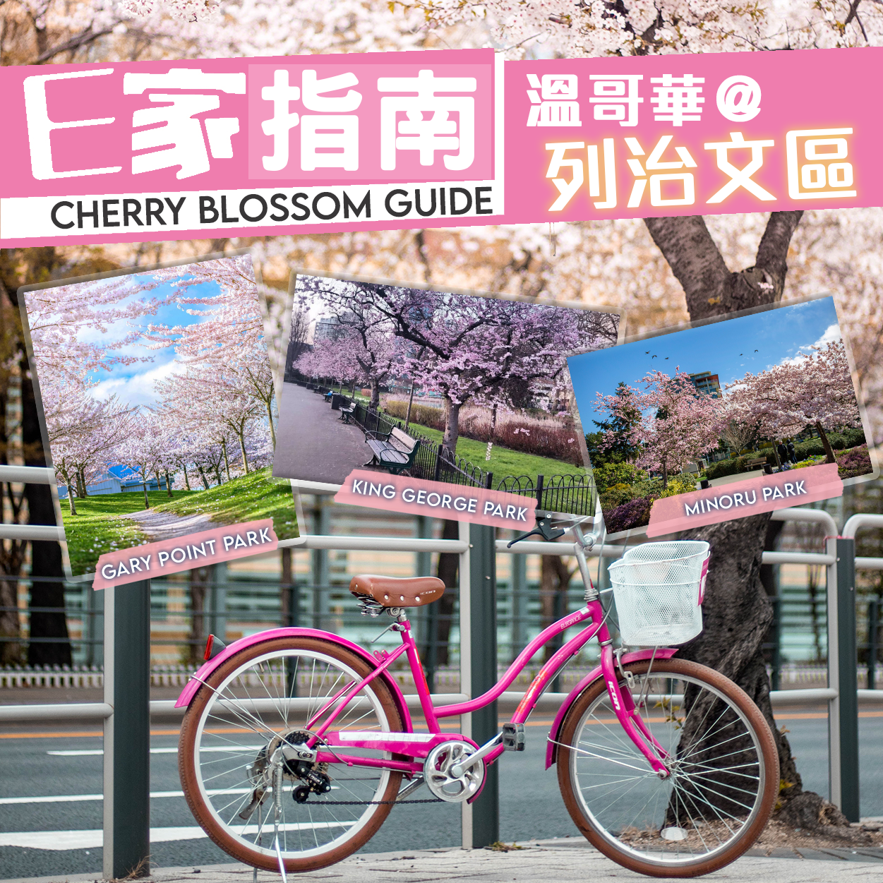 Instagrammable Cherry Blossom Spot in Richmond