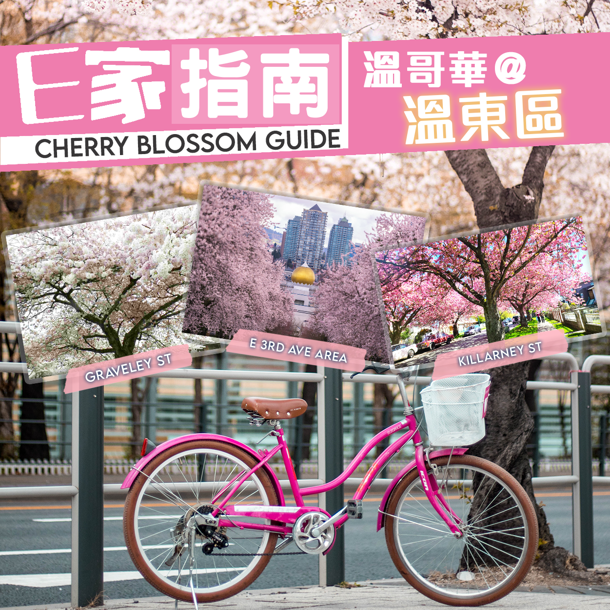 Instagrammable Cherry Blossom Spots in Vancouver Eastside!