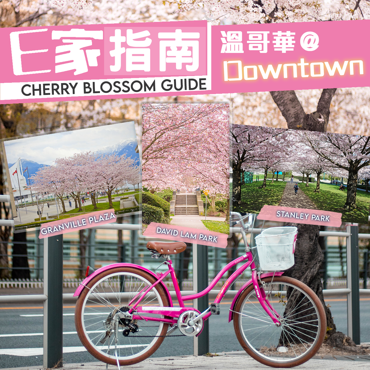 Instagrammable Cherry Blossom Spots in Vancouver Downtown!