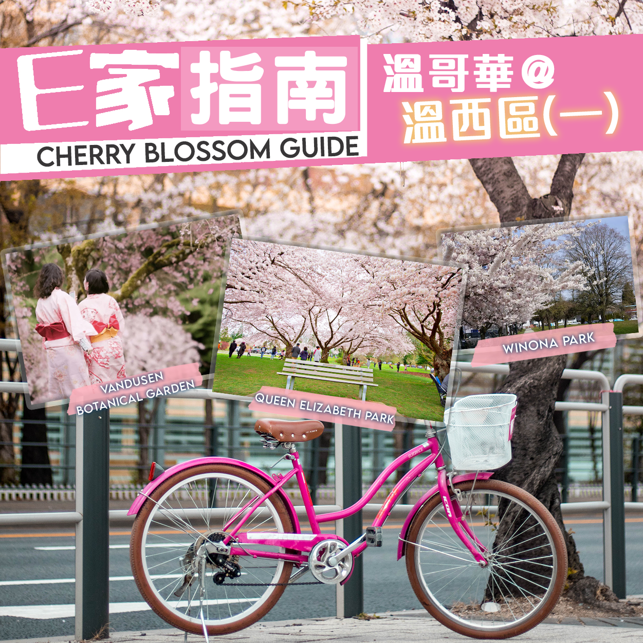 Instagrammable Cherry Blossom Spots in Vancouver Westside